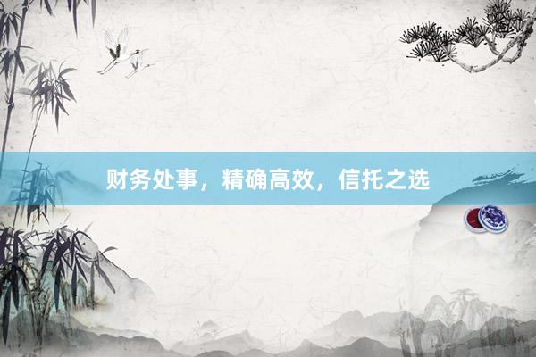财务处事，精确高效，信托之选